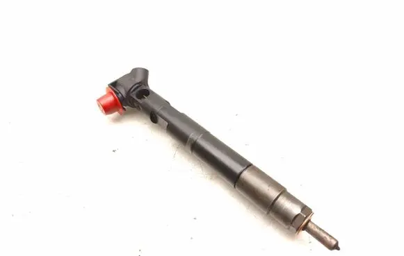 Mercedes-Benz C W204 Fuel injector A6510700587 EMBR00002D