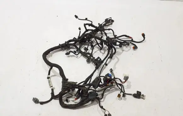 Renault Scenic IV - Grand scenic IV Engine installation wiring loom 240119123S
