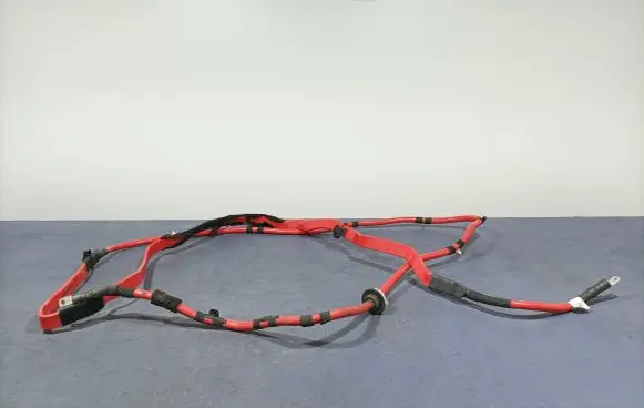 Audi A8 S8 D2 4D Other wiring loom 4N1971225AS