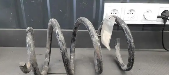 Renault Laguna I Front coil spring