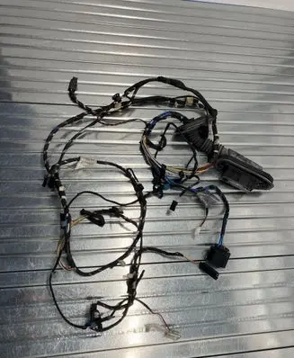 BMW X3 F25 Front door wiring loom J9153001005 EGU91ZB 9243646