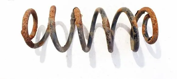 Peugeot 307 Rear coil spring