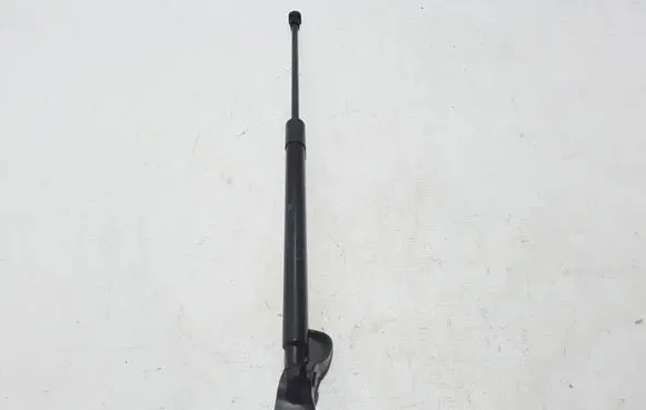 Renault Scenic IV - Grand scenic IV Tailgate strut 904502860R