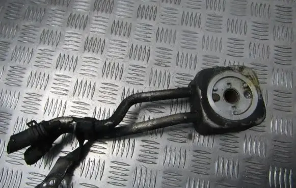 Volkswagen Golf IV Engine oil radiator 