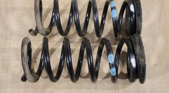 Opel Antara Rear coil spring