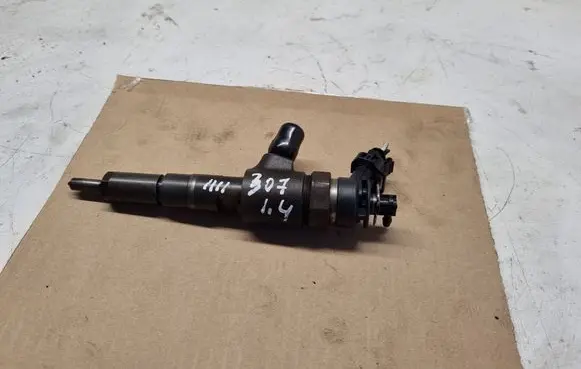 Peugeot 307 Fuel injector 0445110075