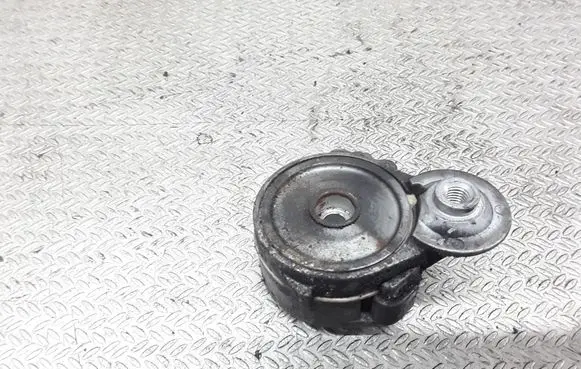 Peugeot 607 Generator/alternator belt tensioner