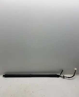 Tailgate strut