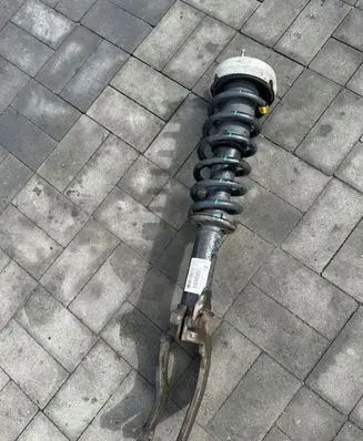 BMW X6 E71 Rear shock absorber with coil spring 14941510