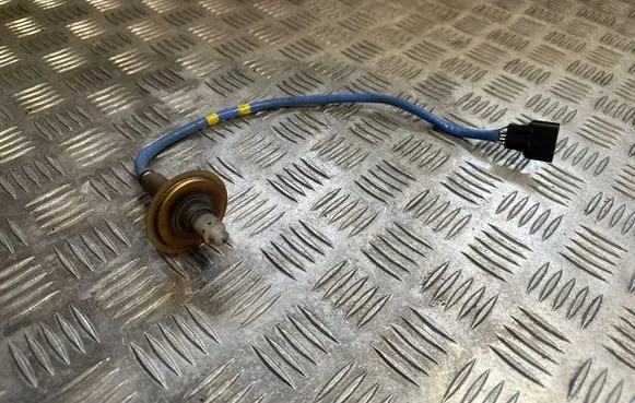 Other wiring loom