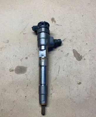 Dacia Duster II Fuel injector 0445876882 8201636333 0445110800