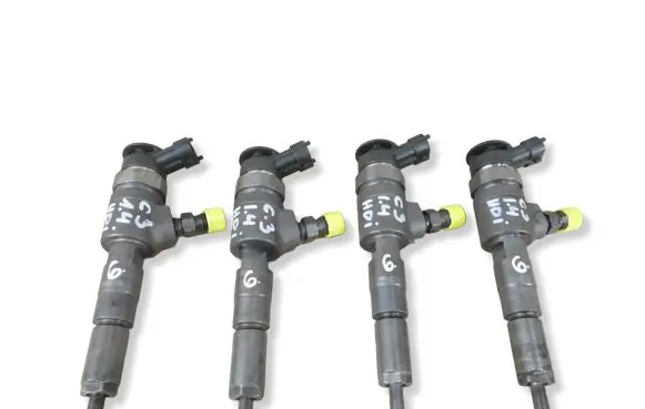 Citroen C3 Fuel injector 0445110135 F62F 9F80