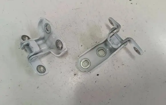 Rear door lower hinge