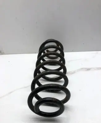 Volkswagen PASSAT B6 Rear coil spring