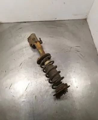 Front shock absorber with coil spring
