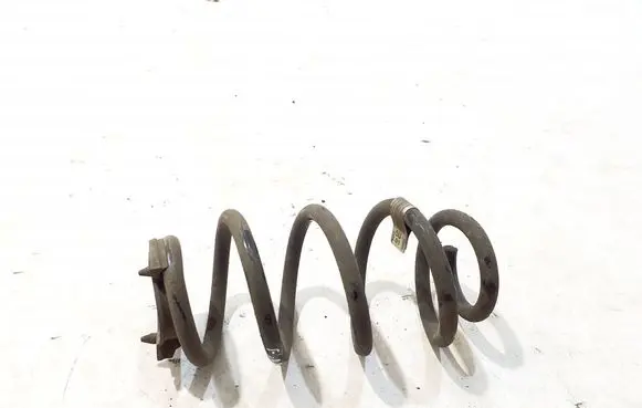 Rear coil spring