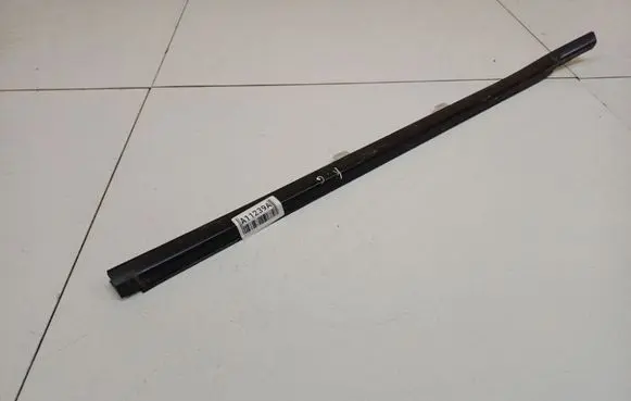 Honda Civic IX Rear door glass trim molding 