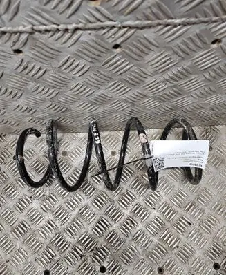 Renault Scenic II - Grand scenic II Front coil spring 