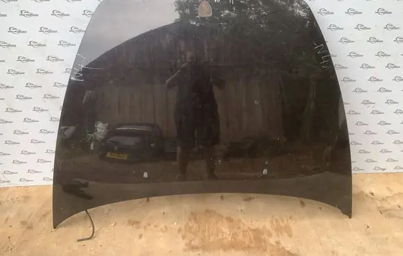 Engine bonnet/hood