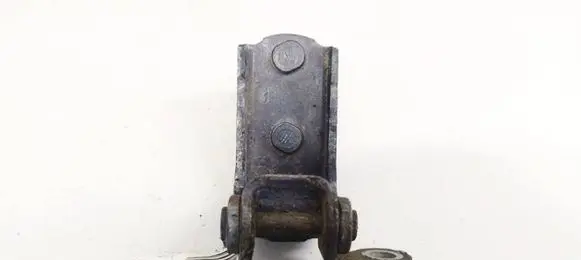 Tailgate/trunk/boot hinge