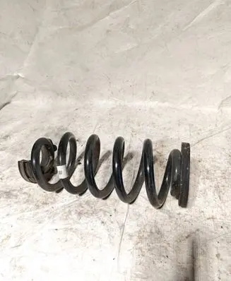 Rear coil spring