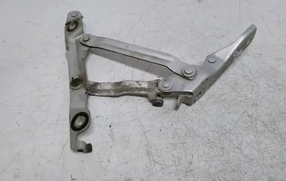 Tailgate/trunk/boot hinge