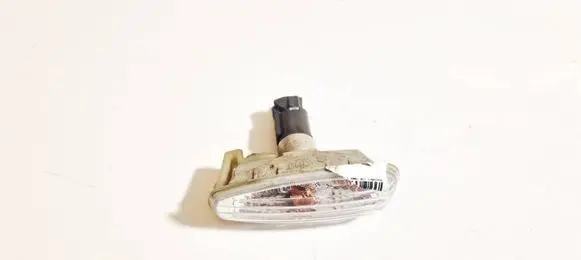 Front fender indicator light