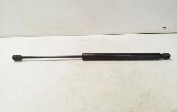 Tailgate/trunk strut/damper