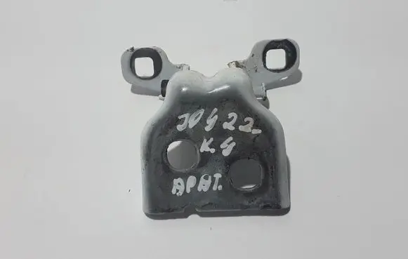 Dacia Jogger Rear door lower hinge 804207876R