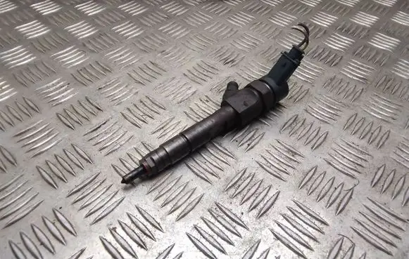 Renault Megane II Fuel injector 8200100272 0445110110B