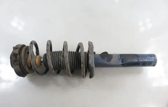 Volkswagen PASSAT B6 Front shock absorber with coil spring 