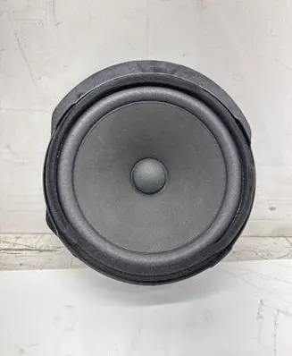 Tesla Model S Rear door speaker 156570600B