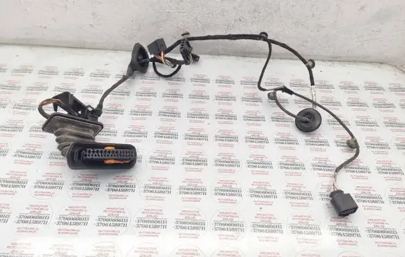 Volkswagen PASSAT B7 Rear door wiring loom 3AA971693DA