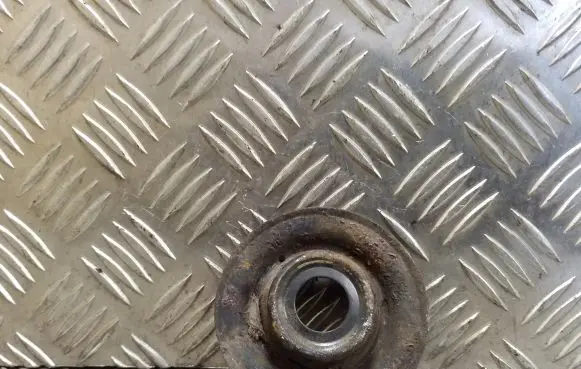 Coil spring mount
