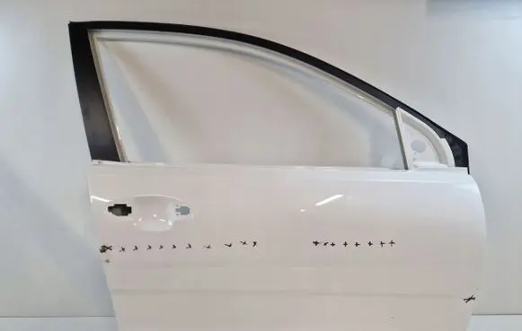 KIA Rio Front door
