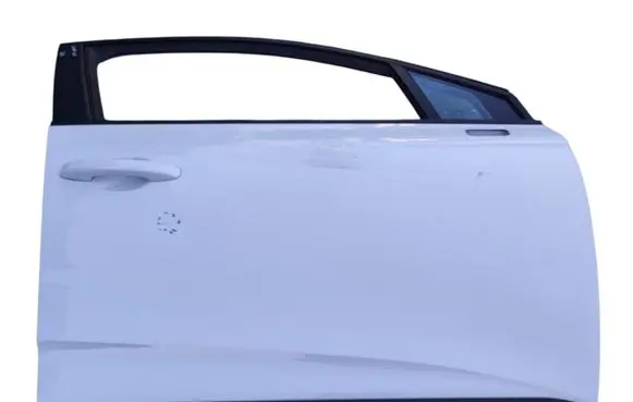 Renault Clio V Front door 