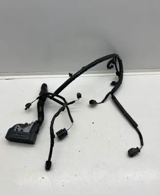 Other wiring loom