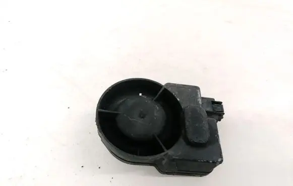 Alarm system siren