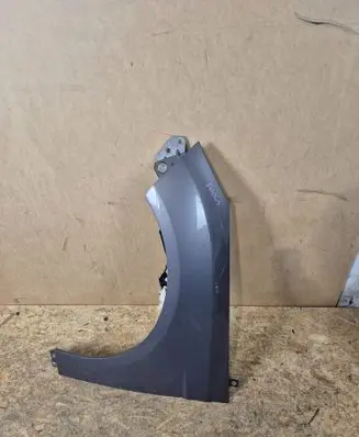 Ford Focus Fender