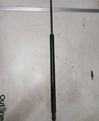 Tailgate strut