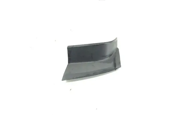 Rear/tail light trim molding