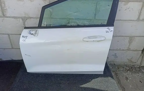 Ford Fiesta Front door