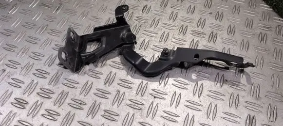 Opel Vivaro Engine bonnet/hood hinges 654004002R ES71 93458898