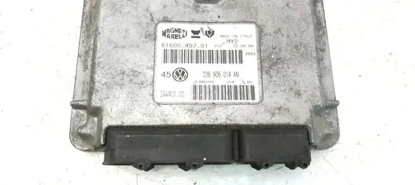 Volkswagen Golf IV Engine control unit/module 6160049701 036906014AN ZL0BD289