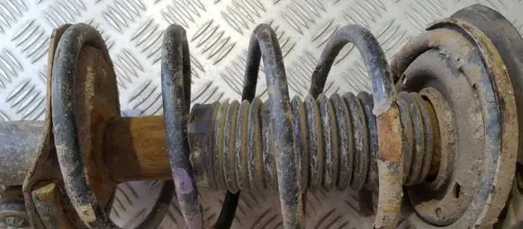 Peugeot 206 Front coil spring