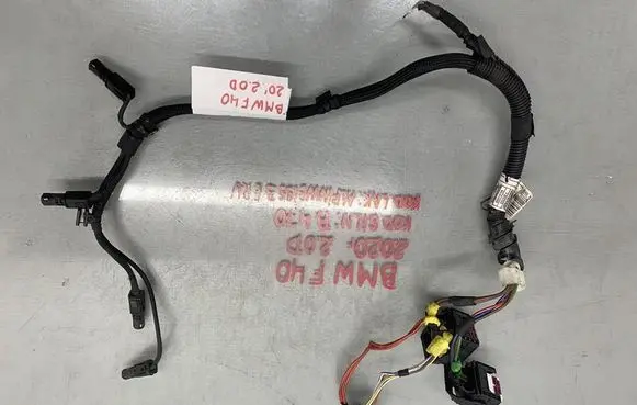 BMW 1 F40 Plug wire 858016108