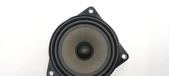 BMW X5 E70 Front door speaker 65139141494 9141494