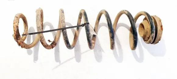 Volkswagen Golf IV Rear coil spring