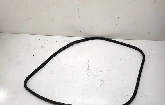 BMW X3 F25 Front door rubber seal 