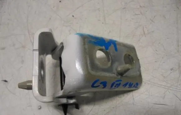 Citroen C3 Rear door hinge set 